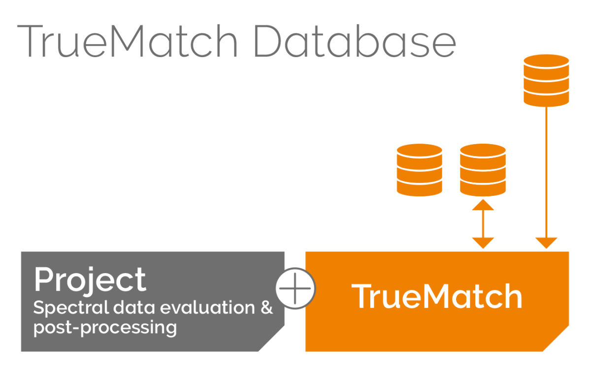 TrueMatchデータベース2