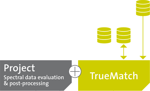 TrueMatchデータベース2