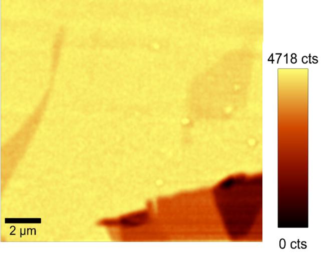 折りたたみグラフェンのSNOM像