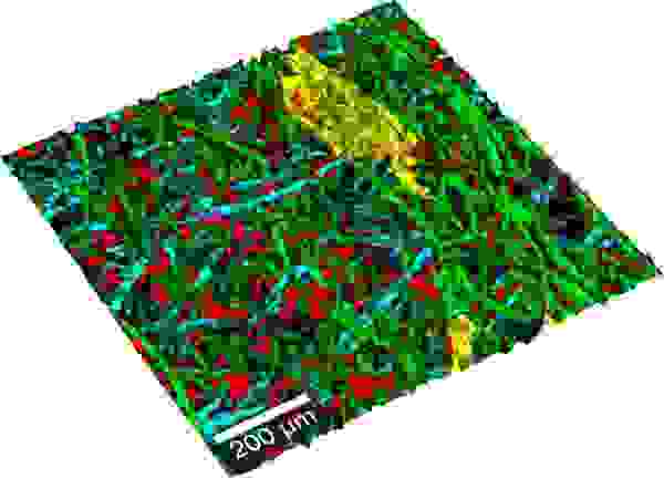 TrueSurface Paper Surface Topography Chemistry