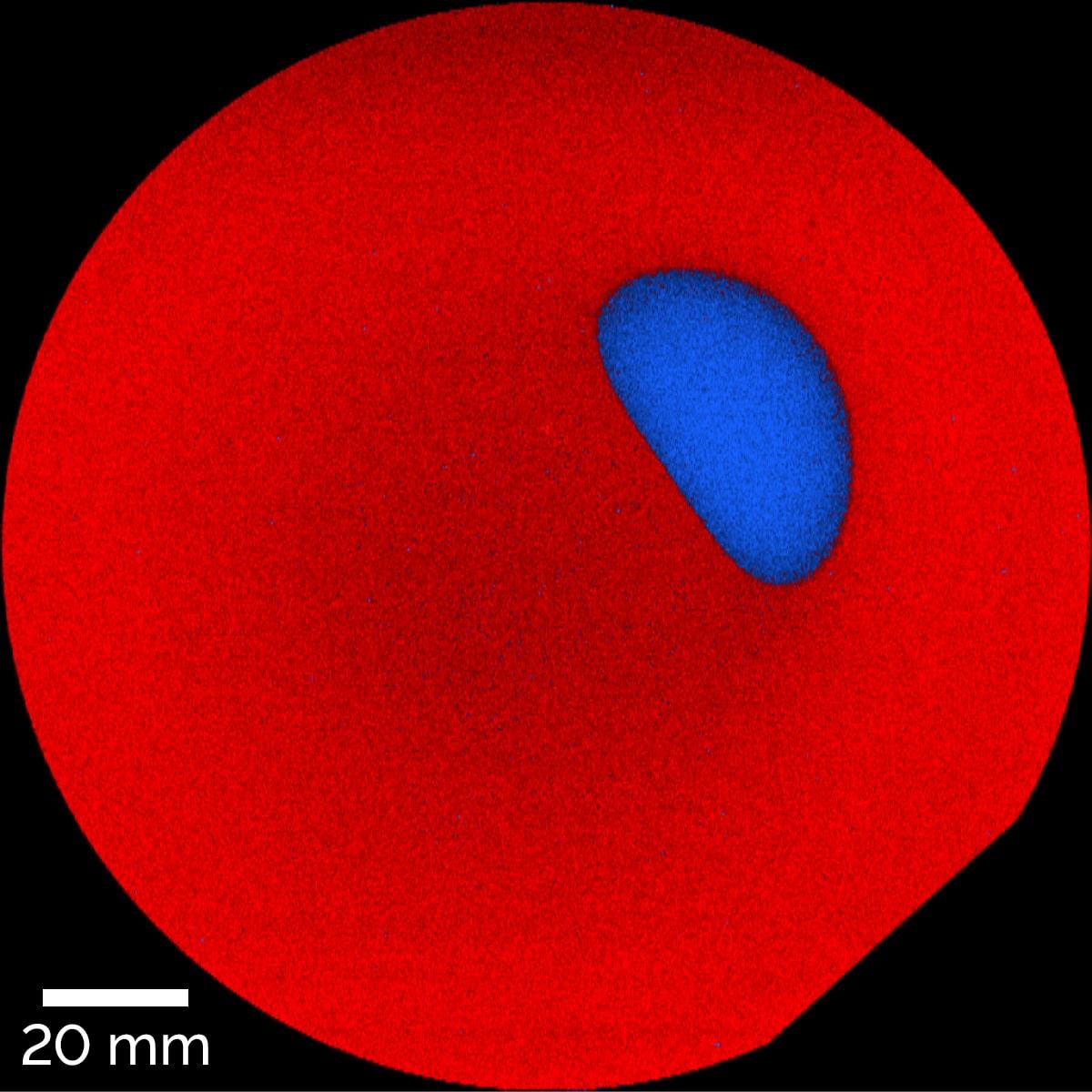 6 インチ SiC ウェハ全体のラマンイメージ