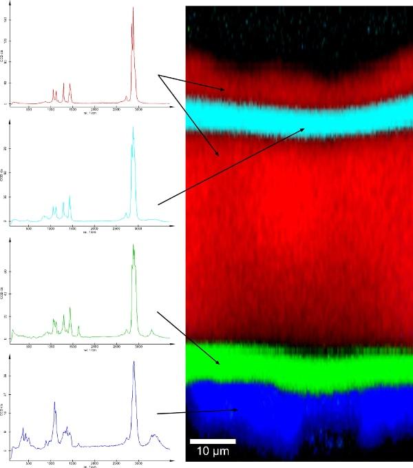 Raman depth-profile of a inner multi-layer coating of an juice container. コーティングのラマンデプスプロファイル解析