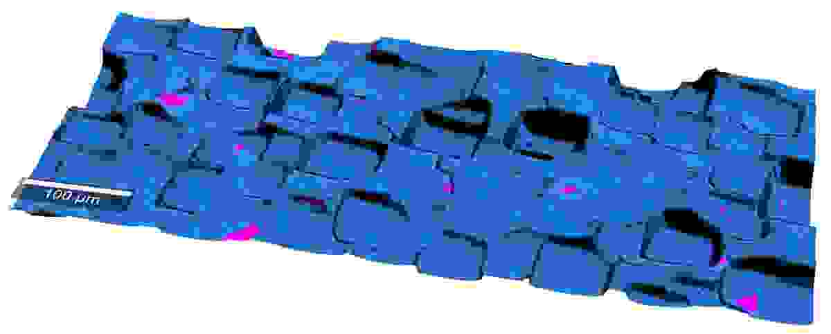 微細構造シリコンのトポグラフィックラマン画像