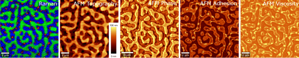 alpha300 RA AFMラマン顕微鏡によるブレンドポリマーのコリレーション解析